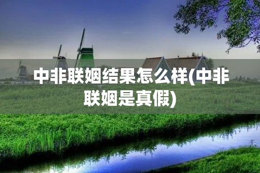 中非联姻结果怎么样(中非联姻是真假)