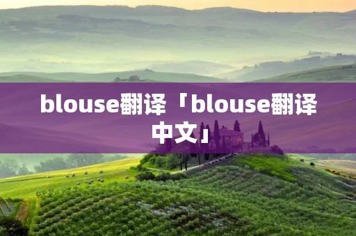 blouse翻译「blouse翻译中文」
