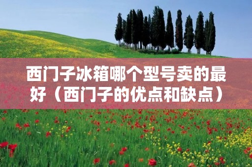西门子冰箱哪个型号卖的最好（西门子的优点和缺点）