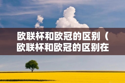 欧联杯和欧冠的区别（欧联杯和欧冠的区别在哪）