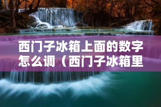 西门子冰箱上面的数字怎么调（西门子冰箱里面的数字是什么意思）