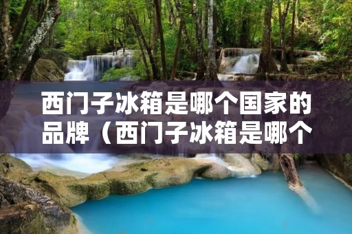 西门子冰箱是哪个国家的品牌（西门子冰箱是哪个国家的牌子）