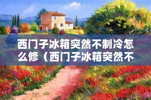 西门子冰箱突然不制冷怎么修（西门子冰箱突然不制冷怎么修理）