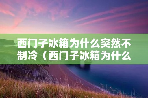 西门子冰箱为什么突然不制冷（西门子冰箱为什么突然不制冷.马达也不转）