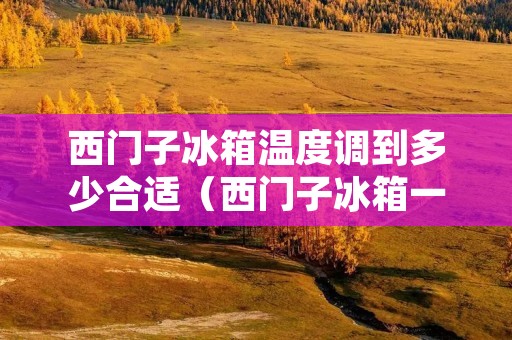 西门子冰箱温度调到多少合适（西门子冰箱一般温度调在多少较好）