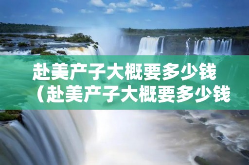 赴美产子大概要多少钱(赴美产子大概要多少钱呢) 赴美产子大概要多少钱(赴美产子大概要多少钱呢)