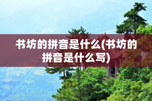 书坊的拼音是什么(书坊的拼音是什么写) 书坊的拼音是什么(书坊的拼音是什么写)