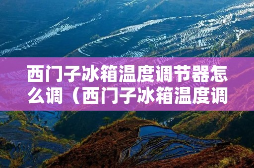 西门子冰箱温度调节器怎么调（西门子冰箱温度调节器怎么调视频）
