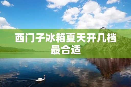 西门子冰箱夏天开几档最合适