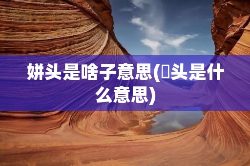 姘头是啥子意思(藠头是什么意思)