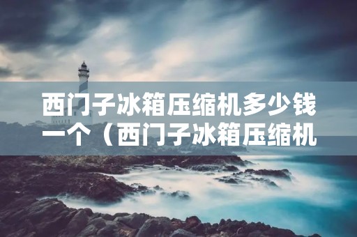 西门子冰箱压缩机多少钱一个（西门子冰箱压缩机多少钱一个啊）