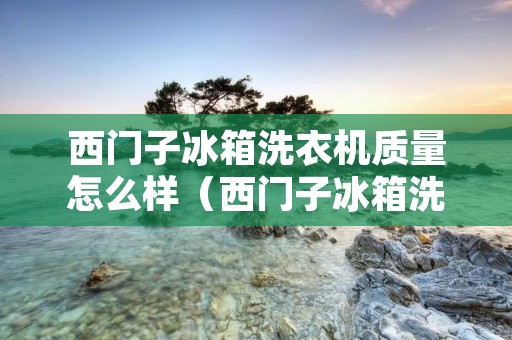 西门子冰箱洗衣机质量怎么样（西门子冰箱洗衣机质量怎么样啊）