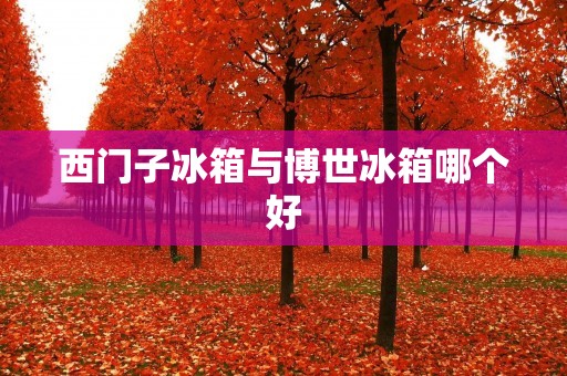 西门子冰箱与博世冰箱哪个好