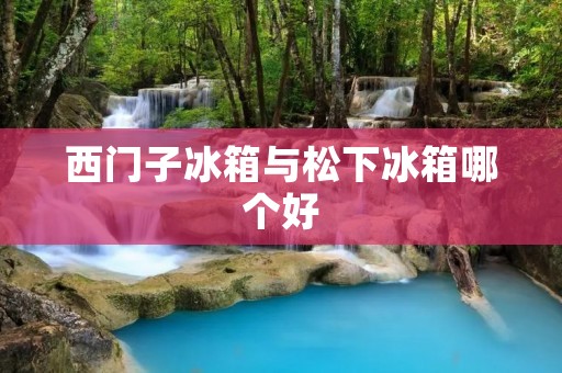 西门子冰箱与松下冰箱哪个好