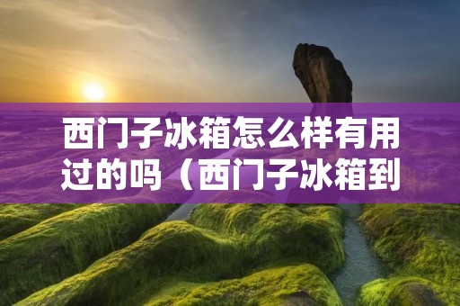 西门子冰箱怎么样有用过的吗（西门子冰箱到底好不好内行人）
