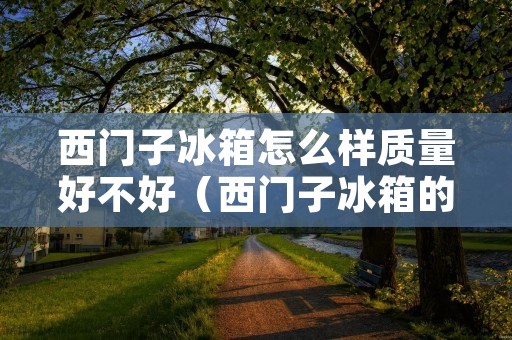 西门子冰箱怎么样质量好不好（西门子冰箱的弱点）