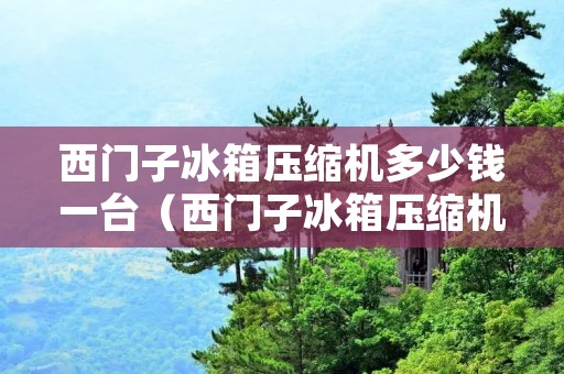 西门子冰箱压缩机多少钱一台（西门子冰箱压缩机多少钱）