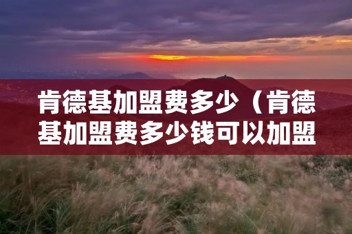 肯德基加盟费多少(肯德基加盟费多少钱可以加盟) 肯德基加盟费多少(肯德基加盟费多少钱可以加盟)
