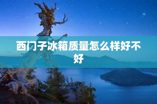 西门子冰箱质量怎么样好不好
