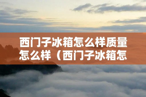 西门子冰箱怎么样质量怎么样（西门子冰箱怎么样质量怎么样好吗）