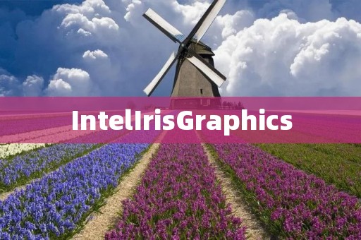 IntelIrisGraphics IntelIrisGraphics