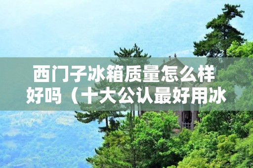 西门子冰箱质量怎么样 好吗（十大公认最好用冰箱）