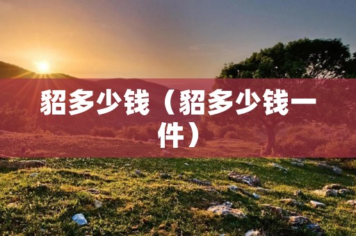 貂多少钱（貂多少钱一件）