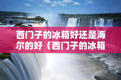 西门子的冰箱好还是海尔的好（西门子的冰箱好还是海尔的好呢）