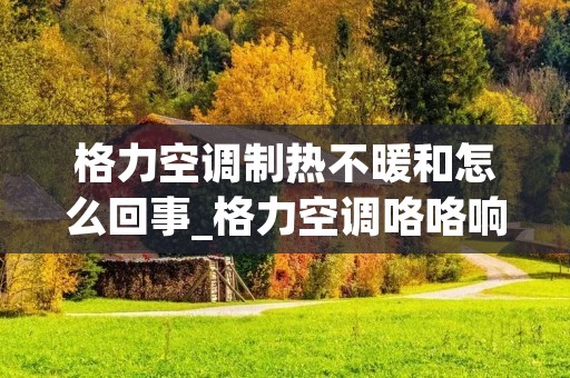 格力空调制热不暖和怎么回事_格力空调咯咯响是怎么回事