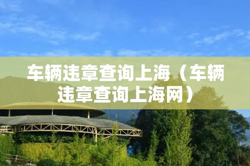 车辆违章查询上海（车辆违章查询上海网）