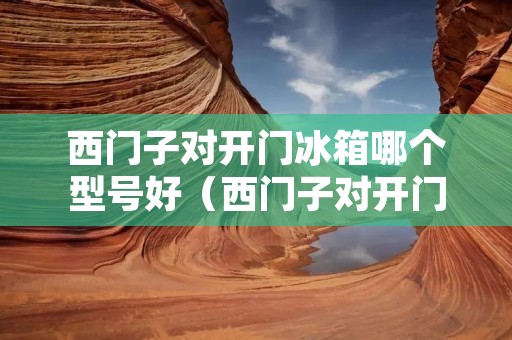 西门子对开门冰箱哪个型号好（西门子对开门冰箱各种型号有什么区别）