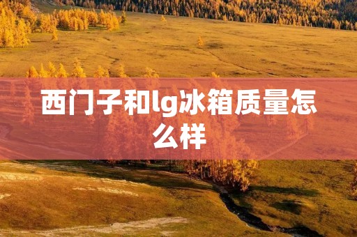 西门子和lg冰箱质量怎么样