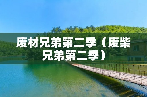 废材兄弟第二季(废柴兄弟第二季) 废材兄弟第二季(废柴兄弟第二季)