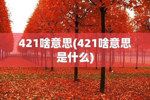 421啥意思(421啥意思是什么)