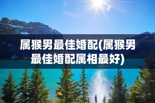 属猴男最佳婚配(属猴男最佳婚配属相最好)