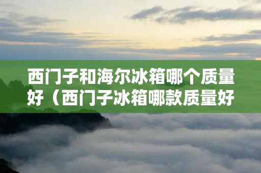 西门子和海尔冰箱哪个质量好（西门子冰箱哪款质量好性价比高）