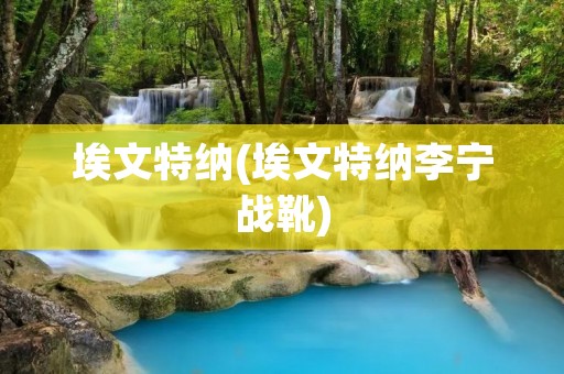 埃文特纳(埃文特纳李宁战靴) 埃文特纳(埃文特纳李宁战靴)