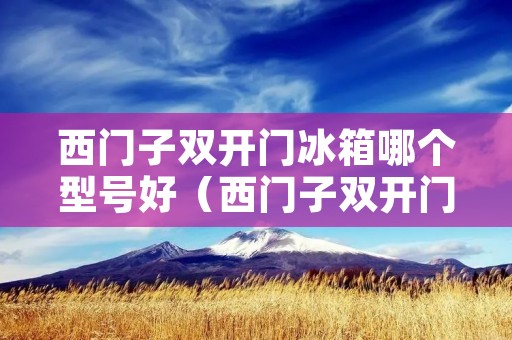 西门子双开门冰箱哪个型号好（西门子双开门冰箱哪个型号好些）