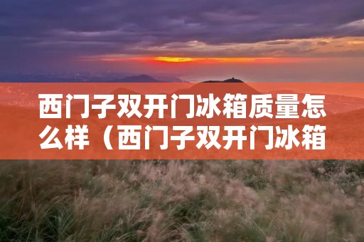 西门子双开门冰箱质量怎么样（西门子双开门冰箱型号排名）