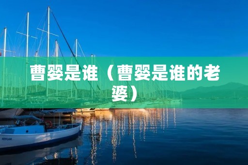 曹婴是谁（曹婴是谁的老婆）