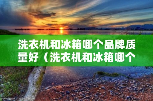 洗衣机和冰箱哪个品牌质量好（洗衣机和冰箱哪个品牌质量好些）