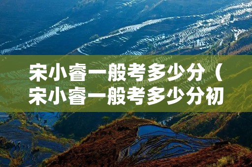 宋小睿一般考多少分（宋小睿一般考多少分初中）