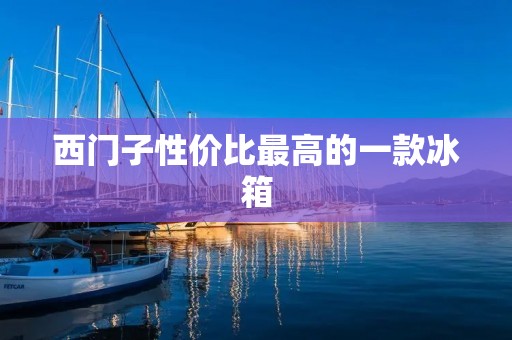 西门子性价比最高的一款冰箱