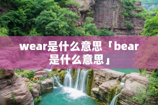 wear是什么意思「bear是什么意思」