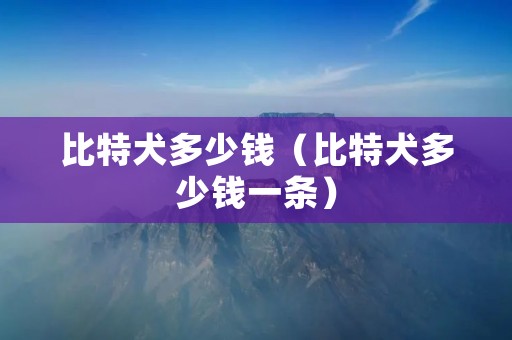 比特犬多少钱（比特犬多少钱一条）