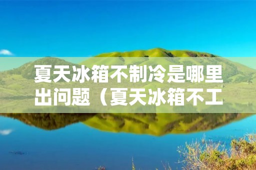 夏天冰箱不制冷是哪里出问题（夏天冰箱不工作了什么原因）