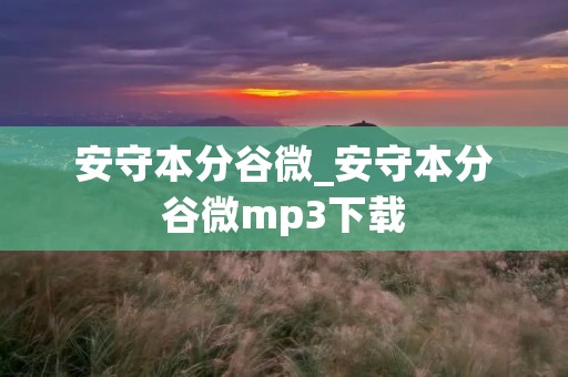 安守本分谷微_安守本分谷微mp3下载