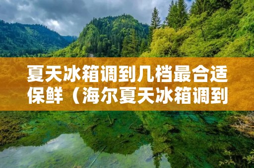 夏天冰箱调到几档最合适保鲜（海尔夏天冰箱调到几档最合适保鲜）