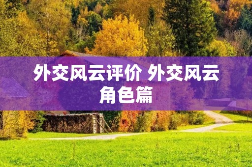 外交风云评价 外交风云角色篇
