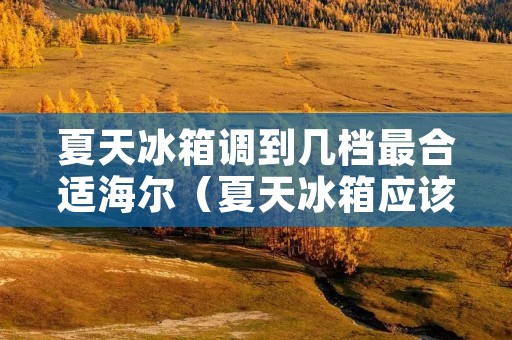 夏天冰箱调到几档最合适海尔（夏天冰箱应该调到几档制冷效果好海尔）